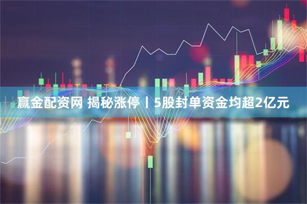 赢金配资网 揭秘涨停丨5股封单资金均超2亿元